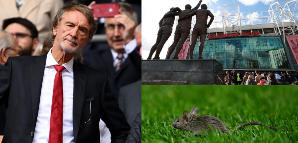 CHOÁNG! CĐV MU phẫn nộ khi chuột xuất hiện ở Old Trafford