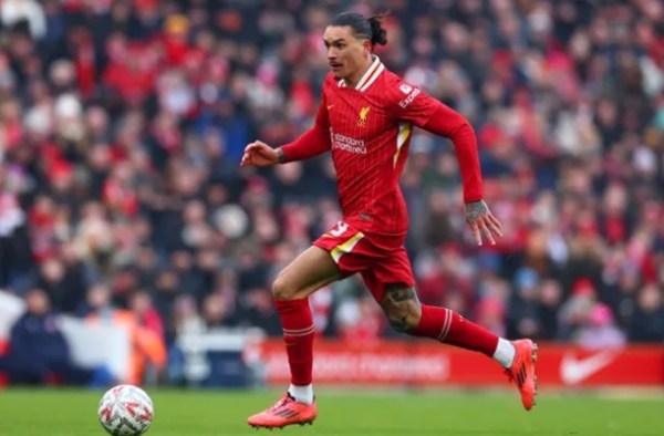 Neville cho biết vụ chuyển nhượng có thể khiến Liverpool mất chức vô địch