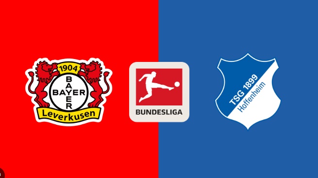 Nhận định Bundesliga - Leverkusen vs Hoffenheim (23h30 ngày 02/02): 4 bàn; Tiếp đà thăng hoa