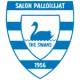 Salon Palloilijat