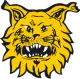 Ilves Tampere
